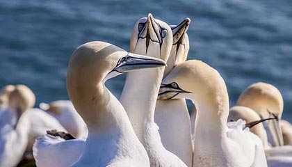 Jiu You-竞技数据分析：精准战术制定时代到来，竞技战术的意义及训练方法