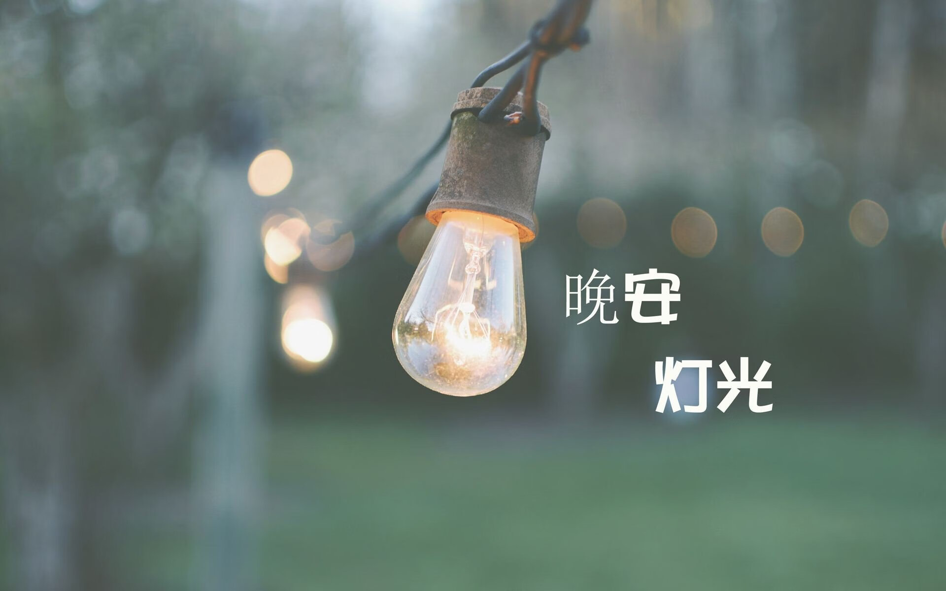 “公牛队新秀秀出色，带领球队开启新篇章”，公牛队新赛季