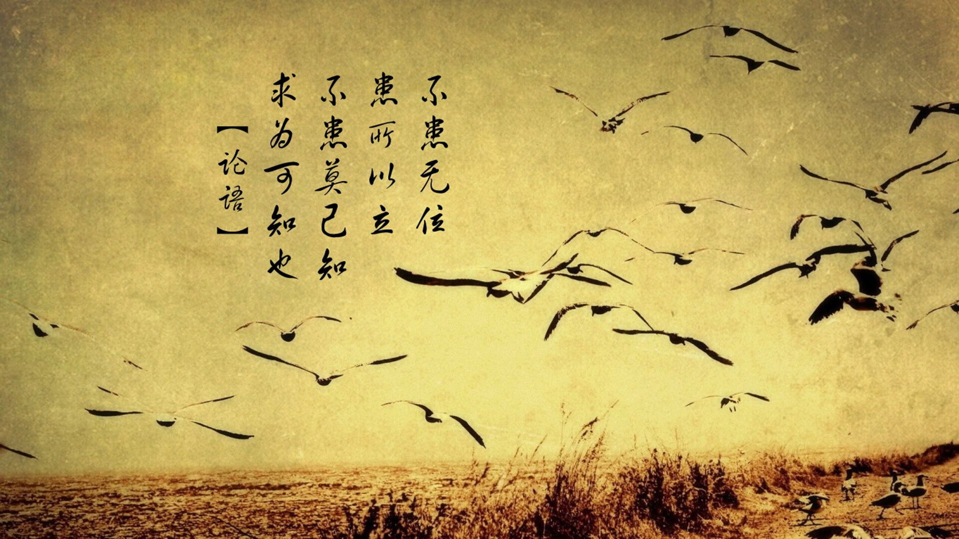 世界马拉松大满贯赛事中国跑者表现抢眼，世界马拉松大满贯赛事有哪些