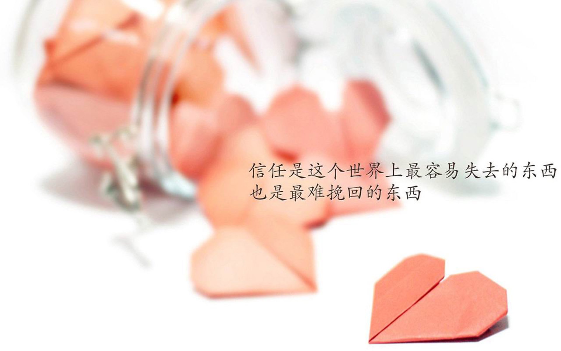 大型户外龙舟比赛，水上竞技展风采，龙舟比赛项目