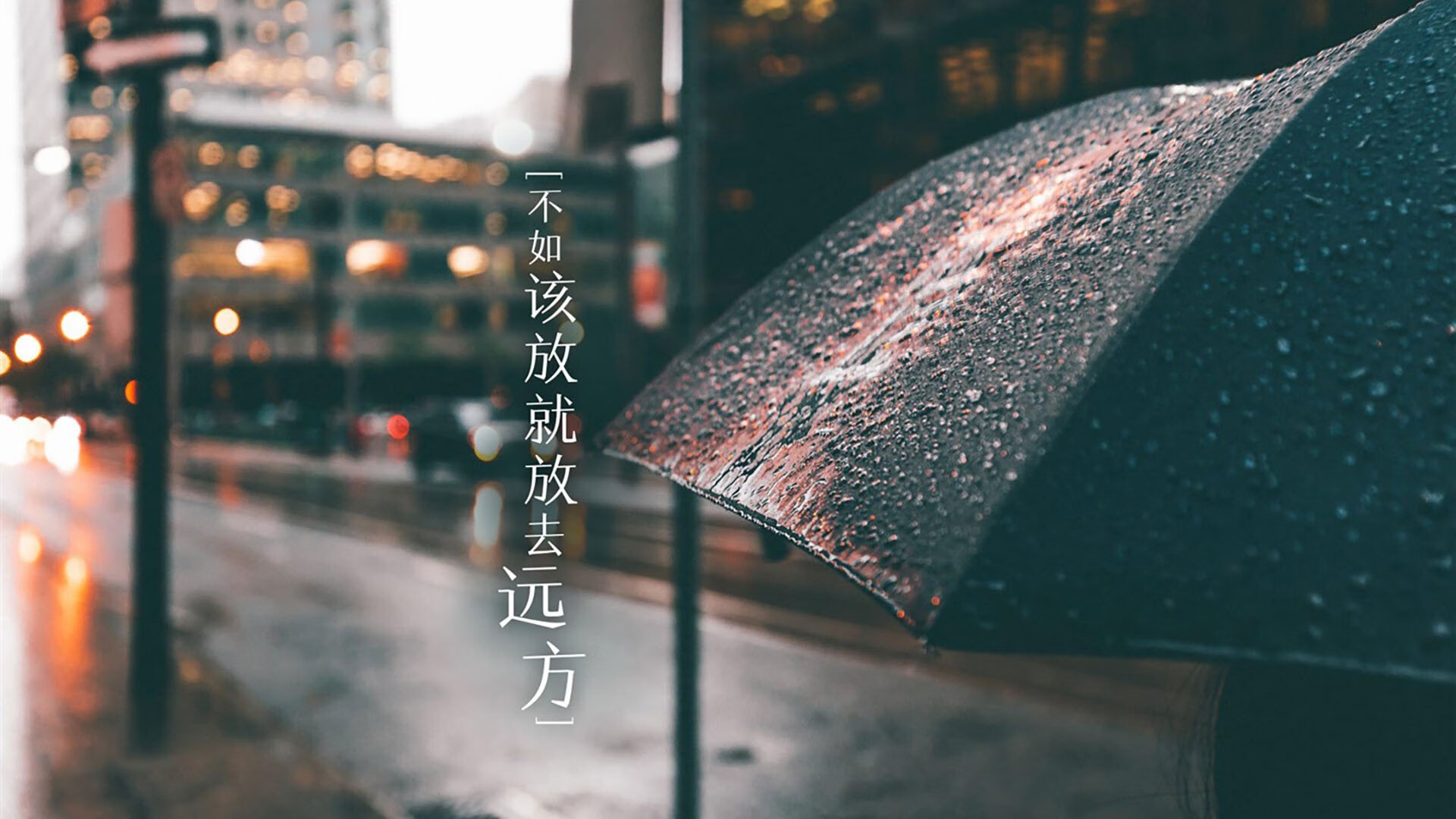 网球双打：默契配合的极致展现，网球双打是什么意思