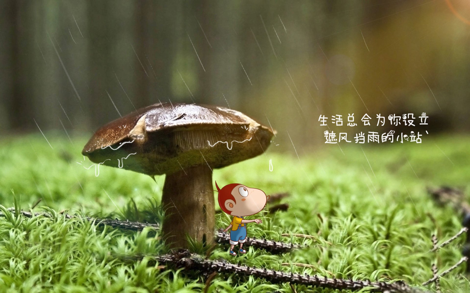 拉齐奥战胜萨索洛，罗马球队再见胜利曙光，拉齐奥vs罗马比赛结果