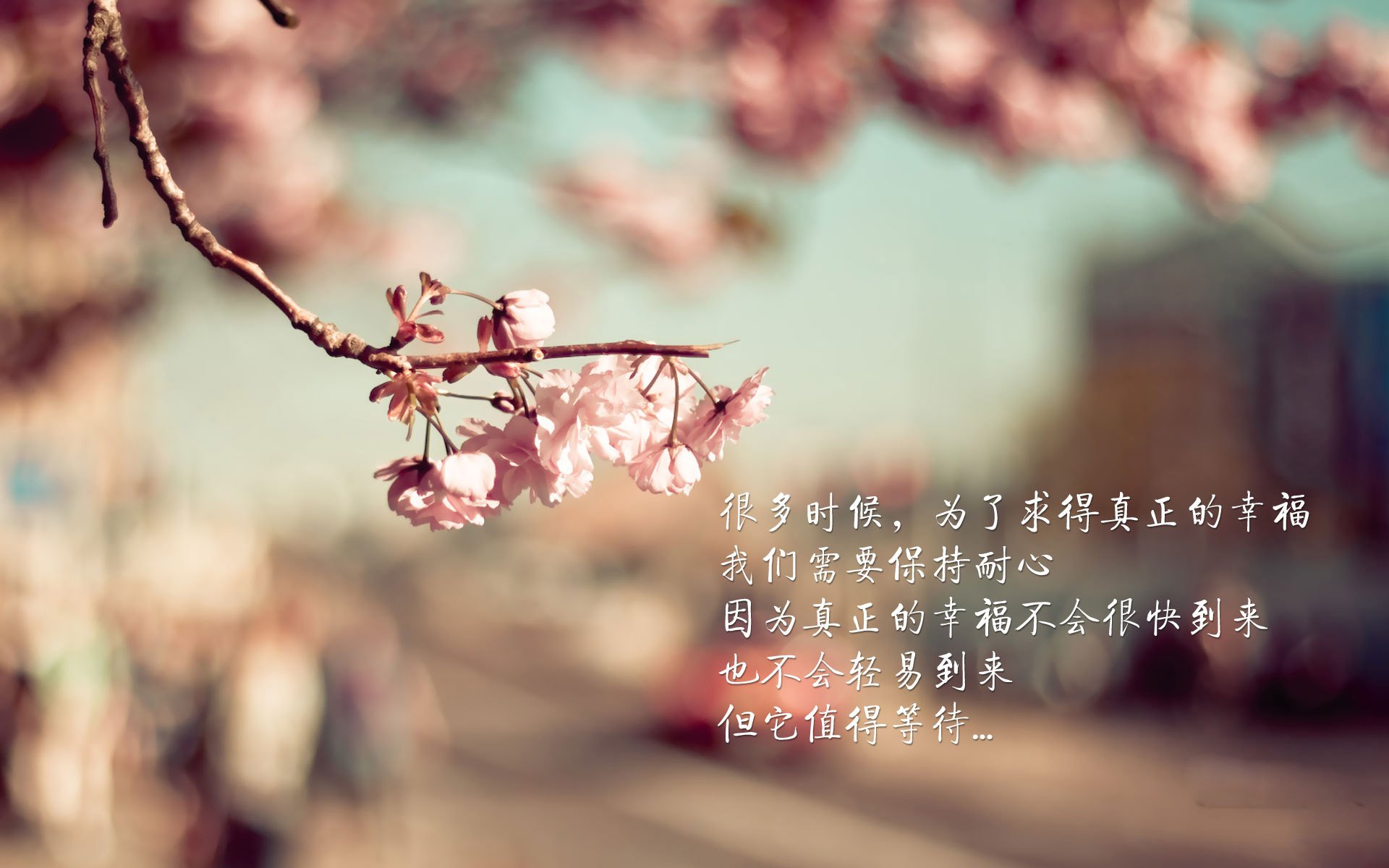 激烈体操比赛引爆话题，体操的比赛