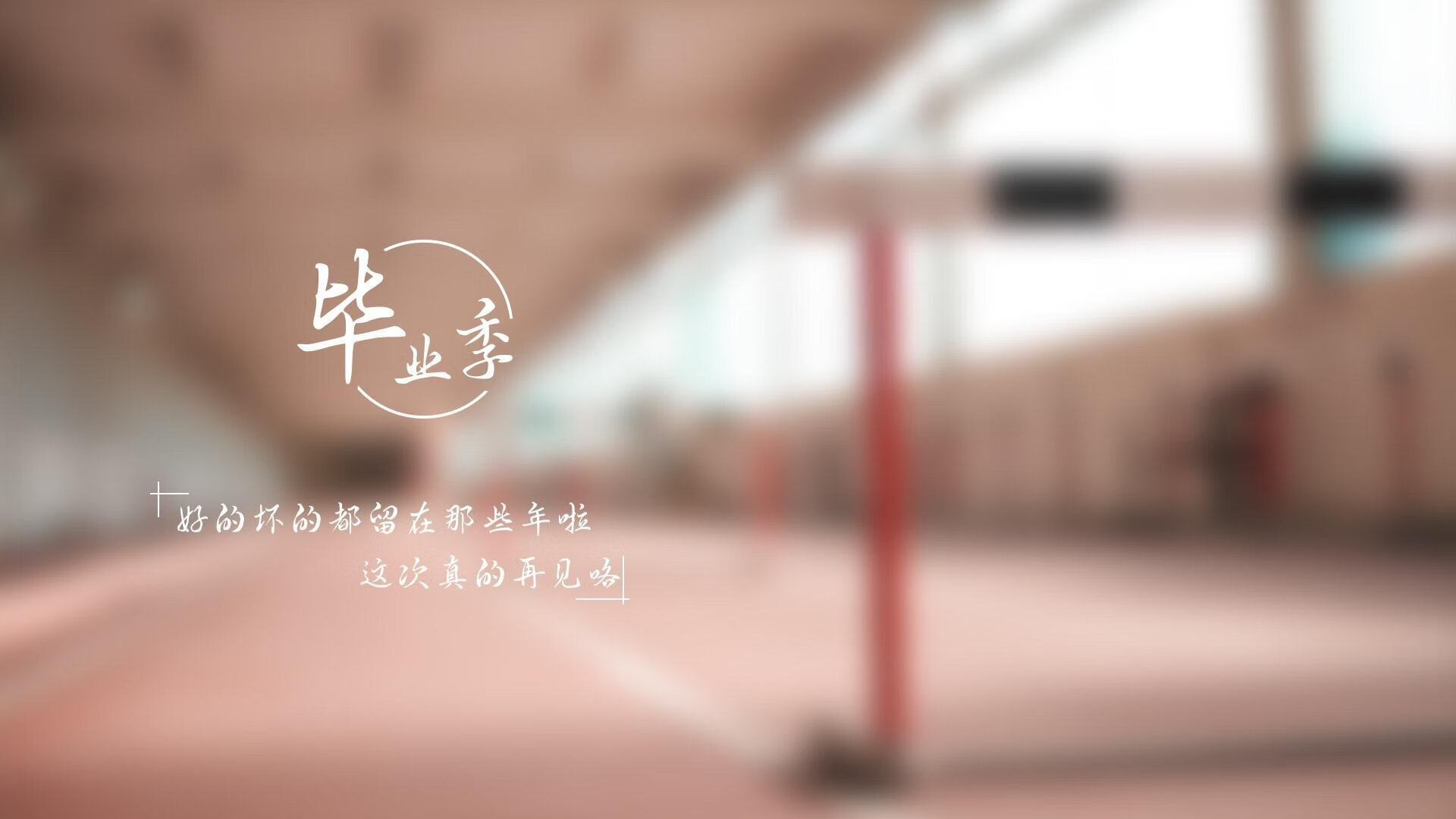 美国马术协会与非洲马术协会开展技术援助项目，提升当地水平。
