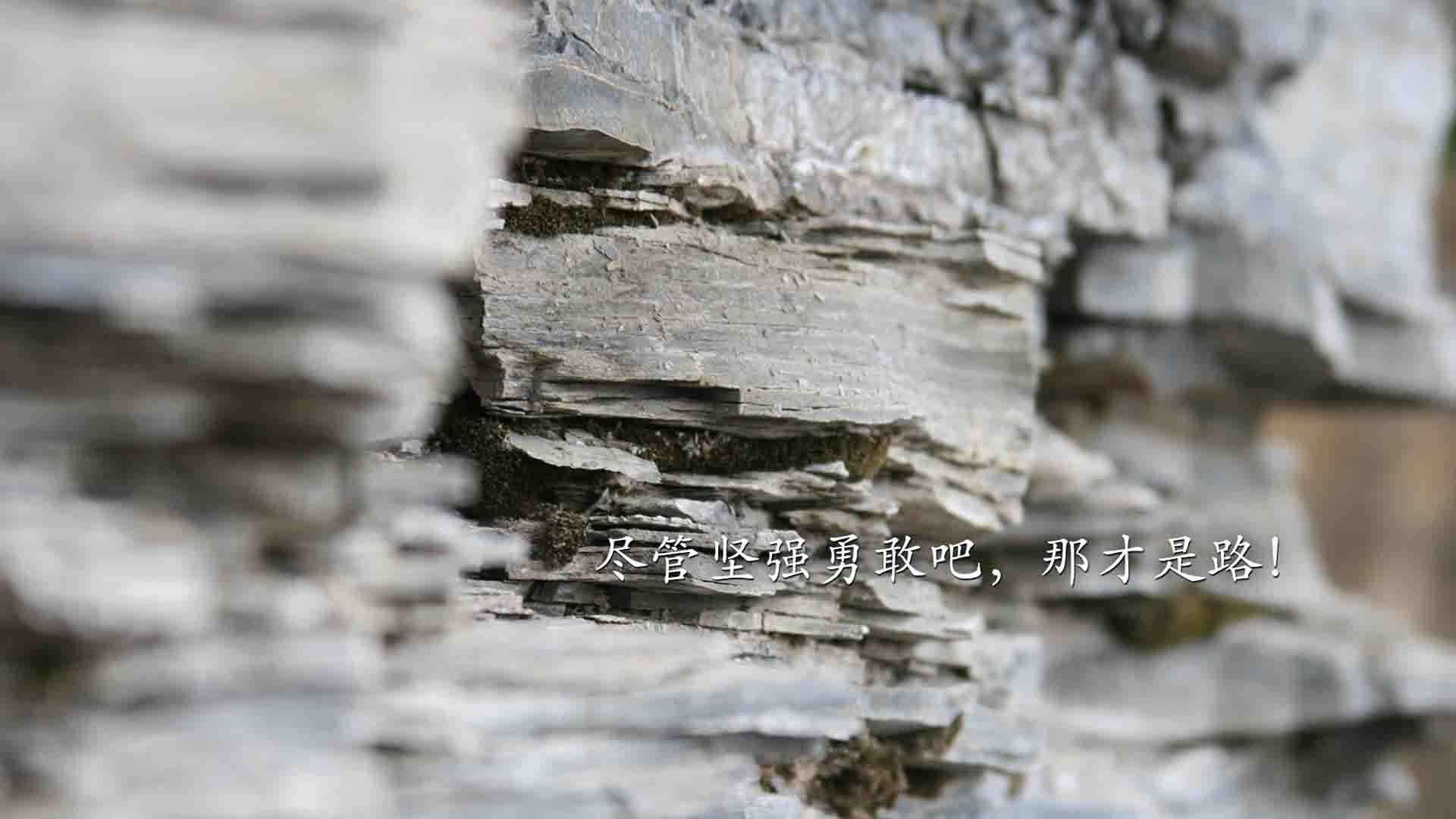 体育新闻中心发布体育视频内容自动识别技术，体育视频分析