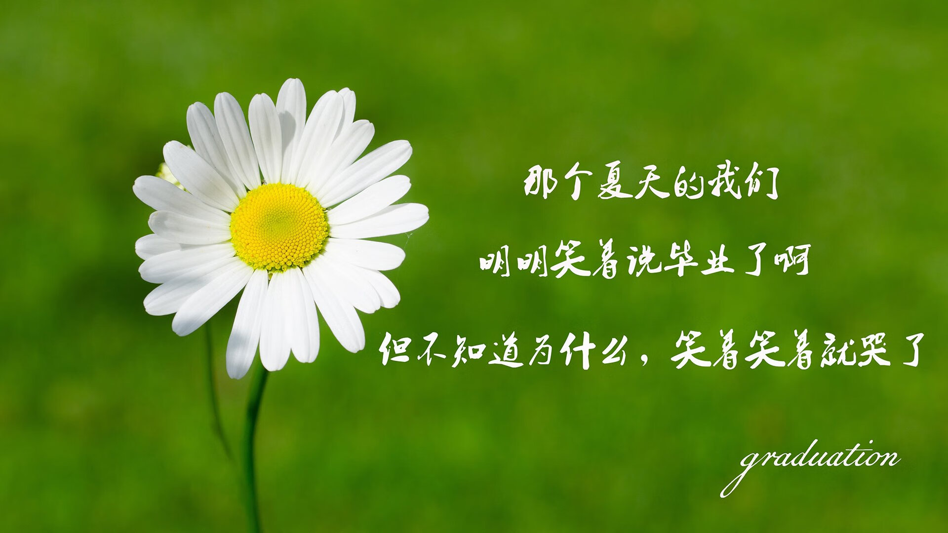 快节奏打法对助攻率的正负影响分析，快节奏定义