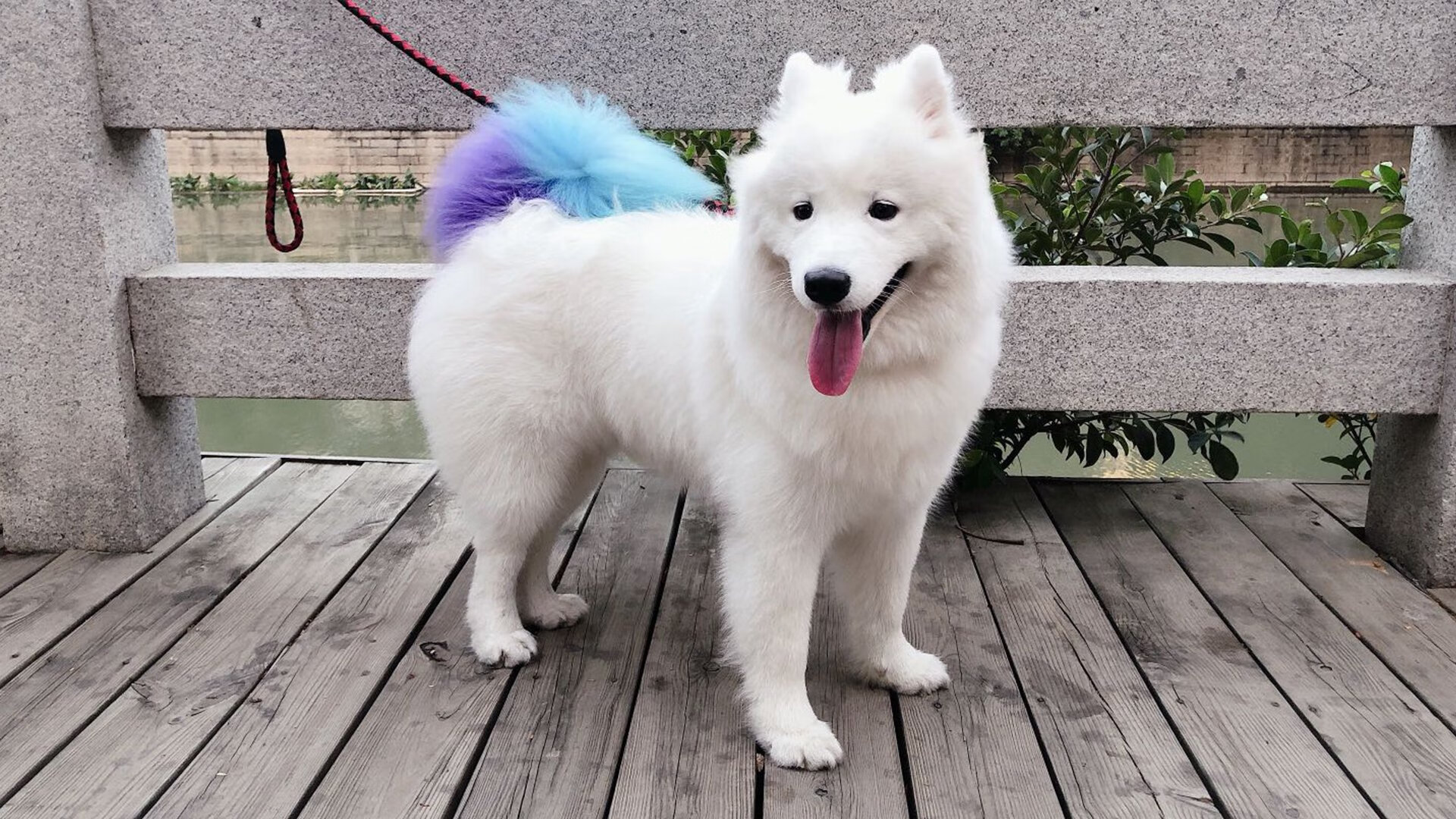 曼城控球体系全面压制中下游球队，曼城的打法