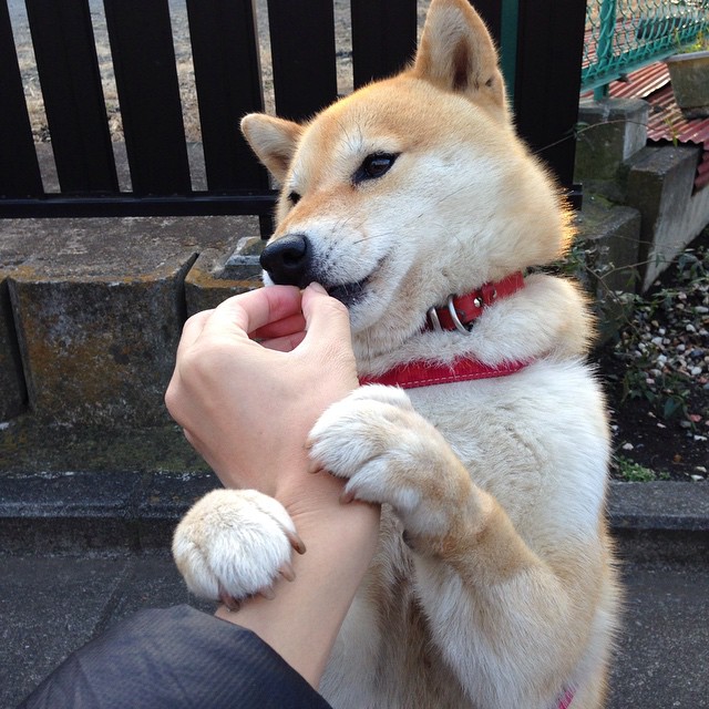 曼城控球体系全面压制中下游球队，曼城的打法