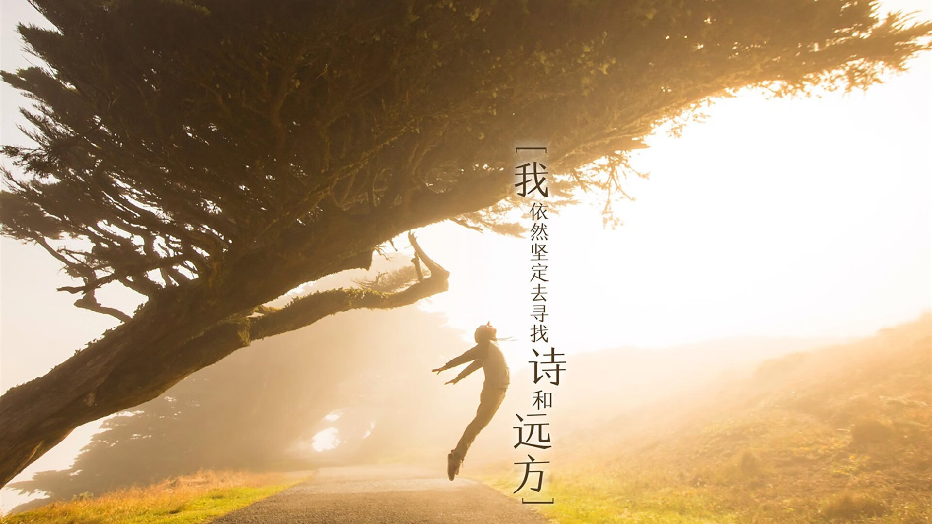 九游9游-图穆亚的强力冲击帮助袋鼠队屡次突破对手防线，穆拉德忠·图伊奇耶夫