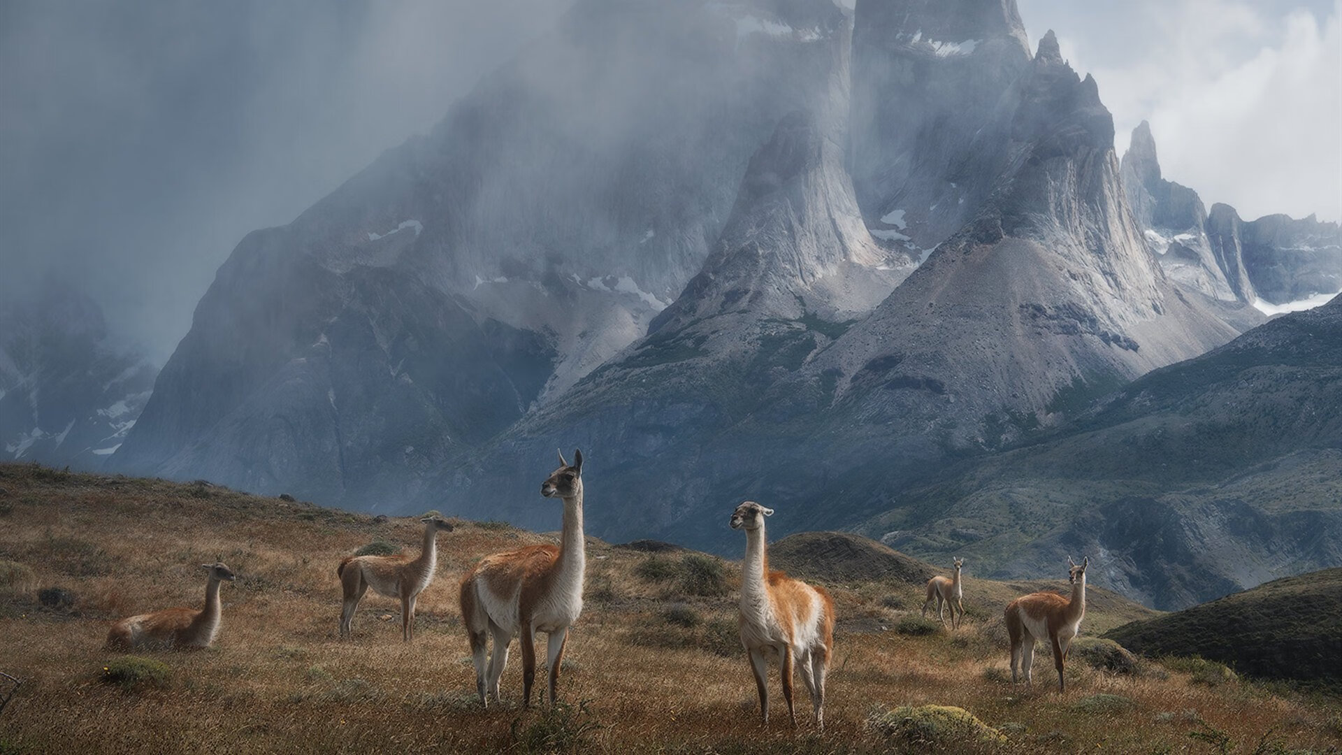 法甲逆境突围:逆风翻盘的经典瞬间,《逆境突袭》