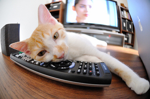 九游娱乐APP-男篮青年联赛吸引多家俱乐部球探现场考察，青年男子篮球锦标赛