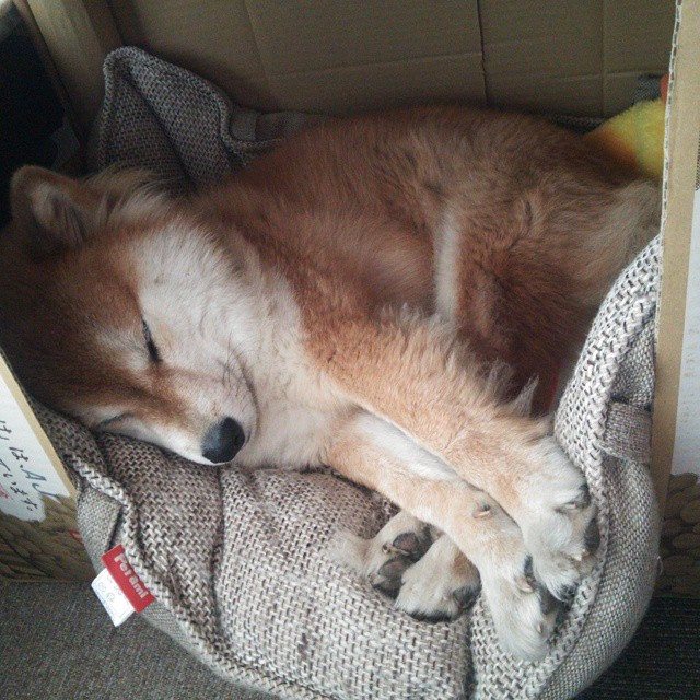 美洲杯明星球员的商业价值，美洲杯明星球员的商业价值是什么